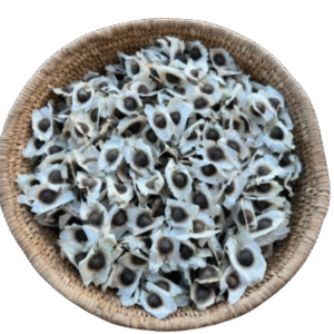 Moringa seed